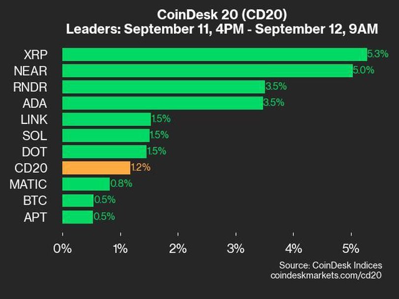 CoinDesk 20 Performance Update: XRP Rallies 5.3%, Leading Index Higher