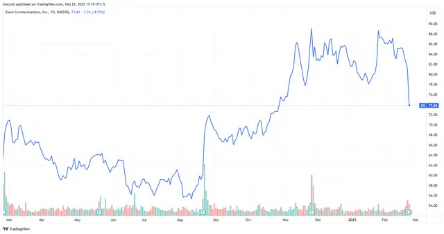 Zoom Stock Sinks as Revenue Outlook Offsets Better-Than-Expected Results